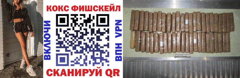 Кокаин Fish Scale  kraken ТОР  Кулебаки  купить закладку 